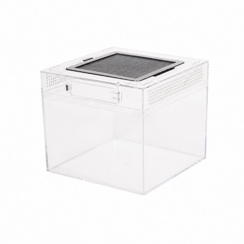 Terrarium avec porte - avec,