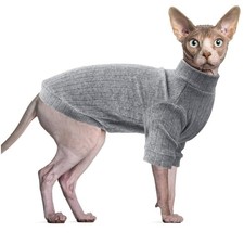 Vêtements pour Chat Sphynx