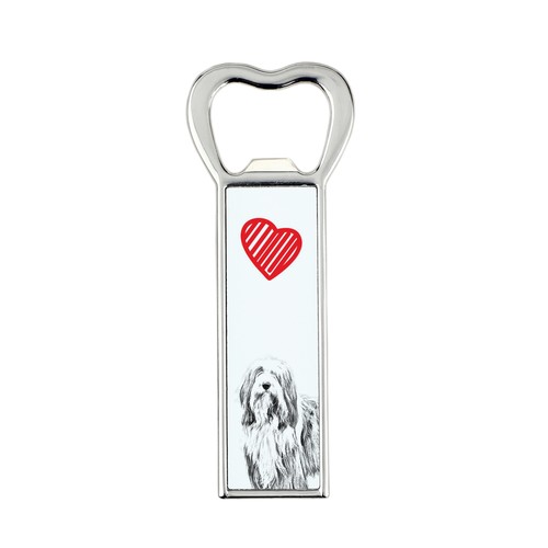 Bearded collie highland - bearded, collie,