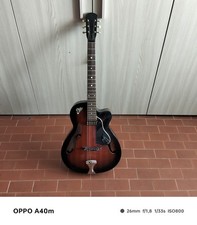Eko 70s Hollow Body Guitar Semi Acoustic 