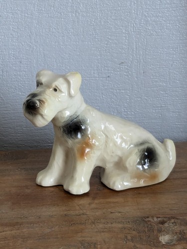 Chien fox terrier - fox,