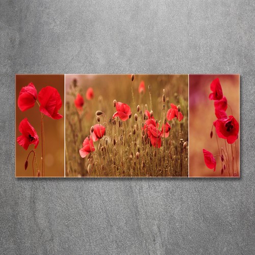 Tulup image sur verre - sur,