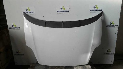 Capot fiat grande punto - capot,