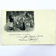 Old postcard Flemish dairy products a surprise 1902 dog team marshal