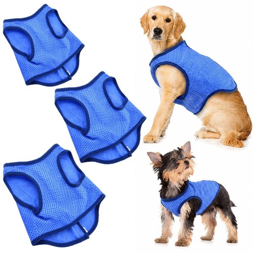 Gilet été chien - Été,