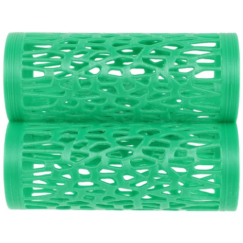 Home aquarium betta fish - aquarium, tube