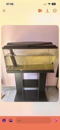 Aquarium complet rectangulaire