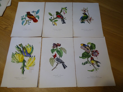 Lot gravures planches - lot, de