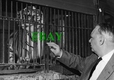 Photographie de JOSEPH