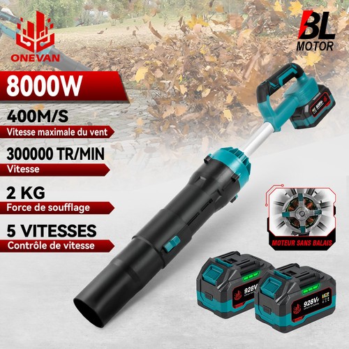 Souffleur batterie 800w - souffleur,