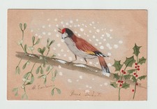 Magnifique Chardonneret