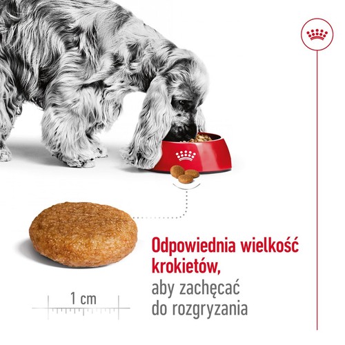Royal canin shn medium adult - canin,