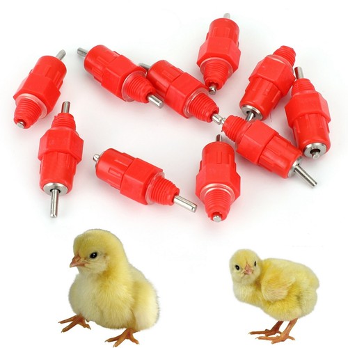Kit poulet alimentateur - kit,