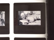 FREAKS  -  DIAPOSITIVE CINÉMA