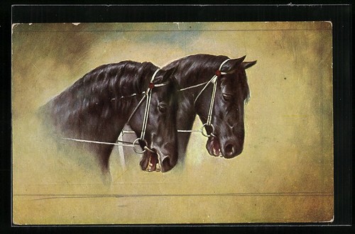 Carte postale têtes deux - de,