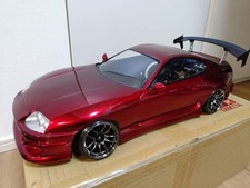 Pandora 1/10 RC Car Painted