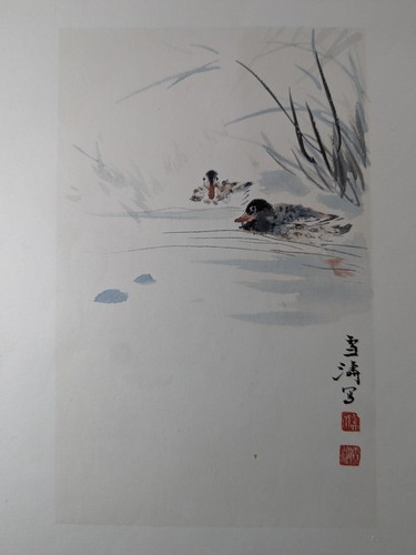 Wang xuetao deux - wang,