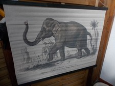 Suspension murale tenture  ,Elephant , bois,tissu ,en Français, 100x75cm