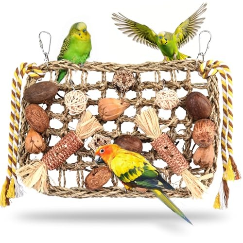 Jouets pour oiseaux jouet - pour,