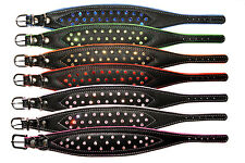 Main Noir Cuir Chien Chiot