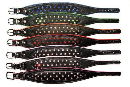 Main noir cuir - main, chiot