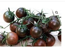 50 Graines de Tomates Cerises Noire De Crimée non traitées Noires