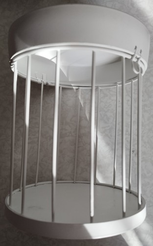 Décoration cage blanche - décoration,