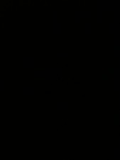 1/24 BMW Série 1 Politie