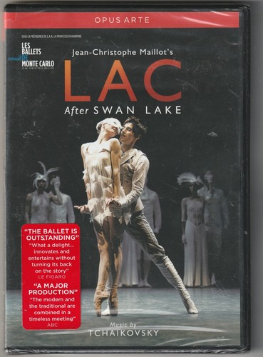 Lac after swan - lac, lake