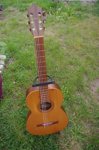Guitare flamenca espagnole
