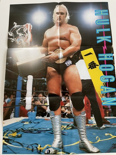 Disque photo hulk - hogan, avec