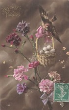 CP PAQUES OEILLETS FLEURS