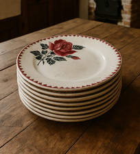 RARE : Lot de 10 Assiettes