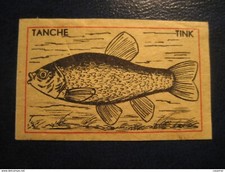 TANCHE TINK Poisson Affiche Timbre Vignette PAYS-BAS HOLLANDE Étiquette Pêche