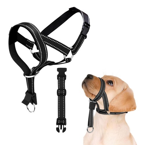 Muselière pour chien harnais - pour, chien,