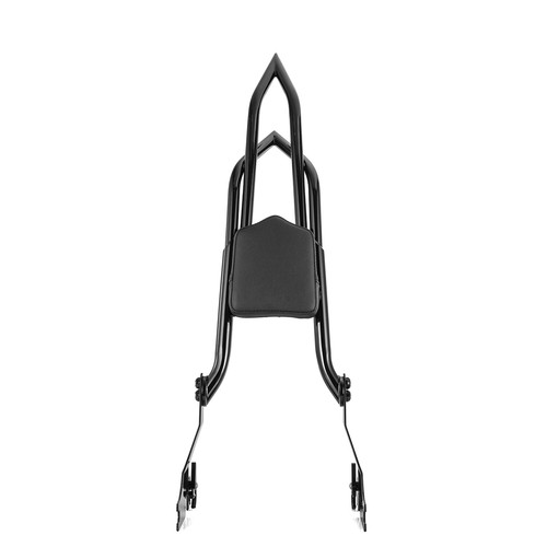 Passenger sissy bar - passenger,