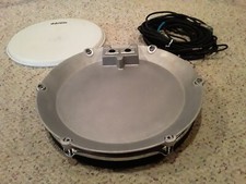 ddrum 4 (Solid Back)