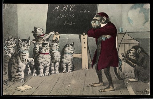 Chaton avec son professeur - , de