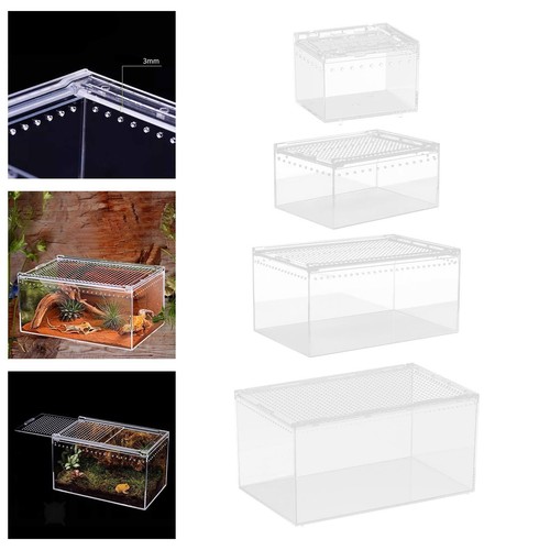 Boîte élevage reptiles - boîte,