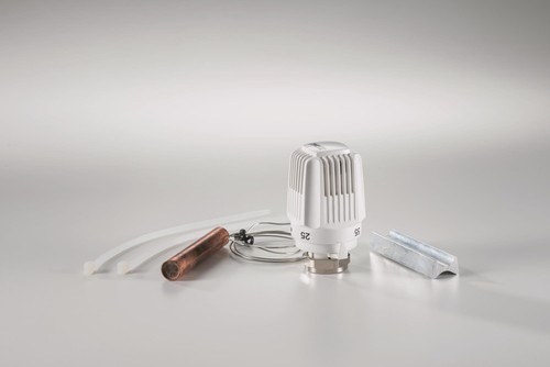 Tête thermostatique empur - thermostatique,