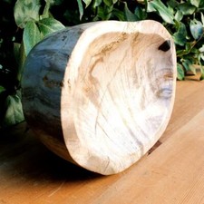 Bois fossilisé/silicifié -