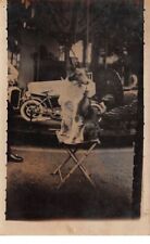 Circus - No. 68924 - Carousel - Dog on a folding chair - Photo card