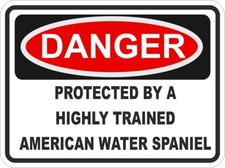 Américain Eau Spaniel Chien