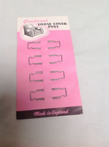Pin couvercle lâche - pin's,
