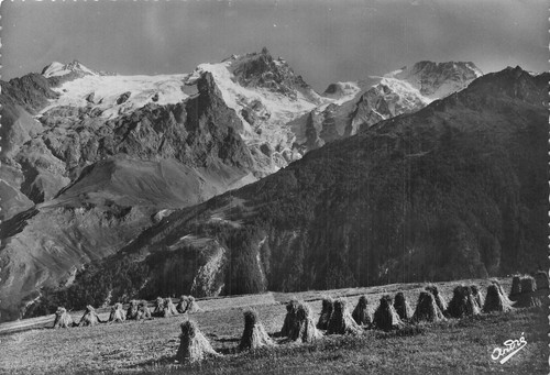 Grave bec l homme la - grave, de