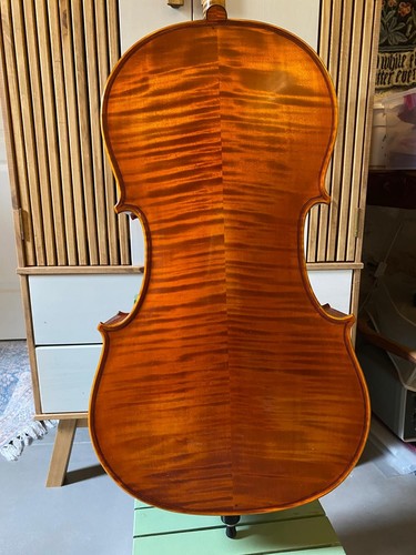 Gliga maestro violoncello - maestro,