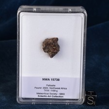 Météorite NWA 15738 de 5,21