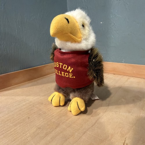 Boston college chelsea teddy - boston,