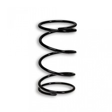 Ressort d embrayage Malossi