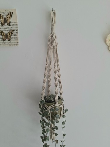 Support pour plante - support, en